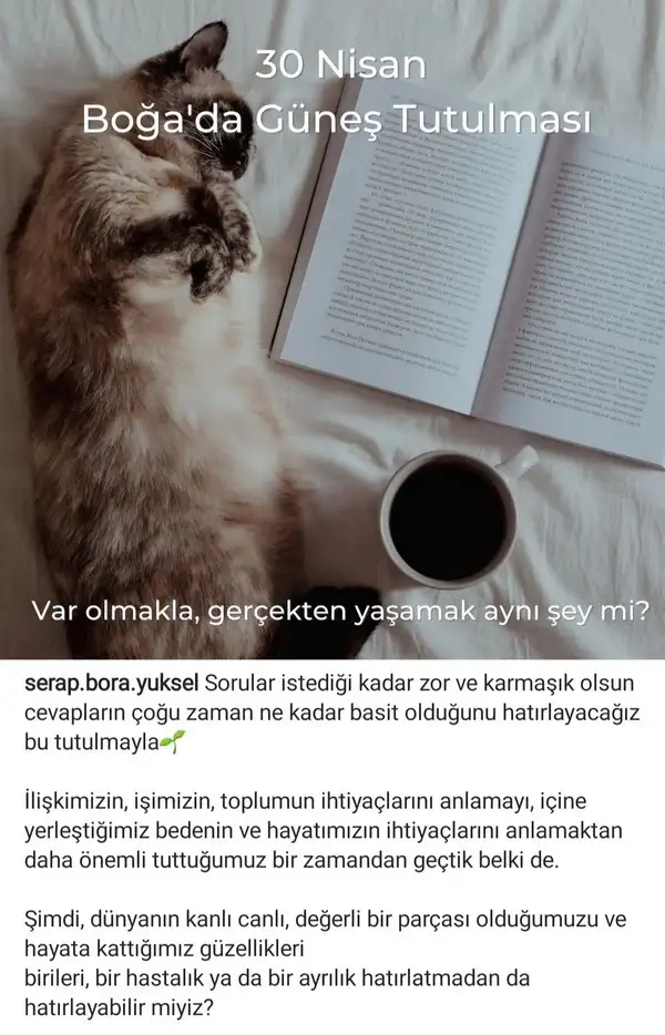 Screenshot_20220503-170044_Instagram.webp