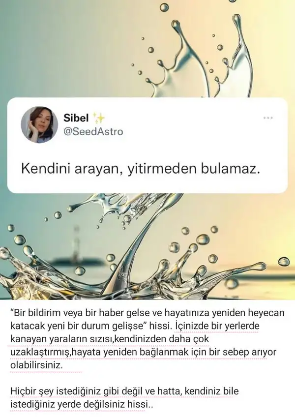 Screenshot_20220509-092836_Instagram.webp