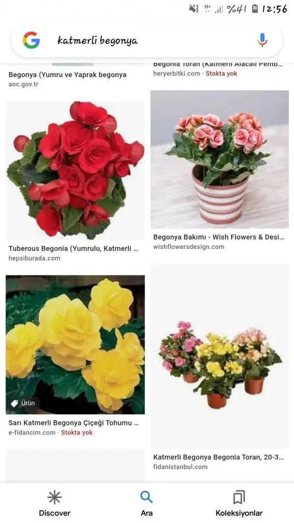 Screenshot_20220510-125617_Google.webp