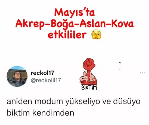 Screenshot_20220512-161333_Instagram.webp