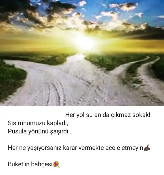 Screenshot_20220614-202822_Instagram.webp