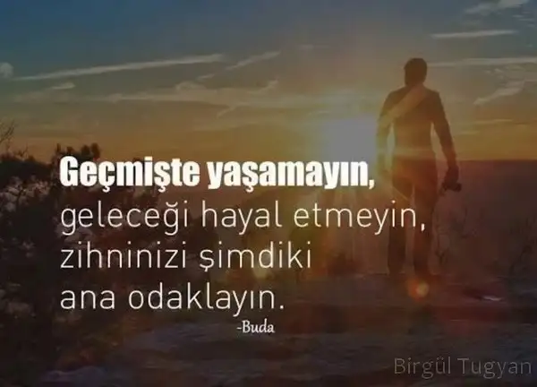 Screenshot_20220623-112719_Instagram.webp
