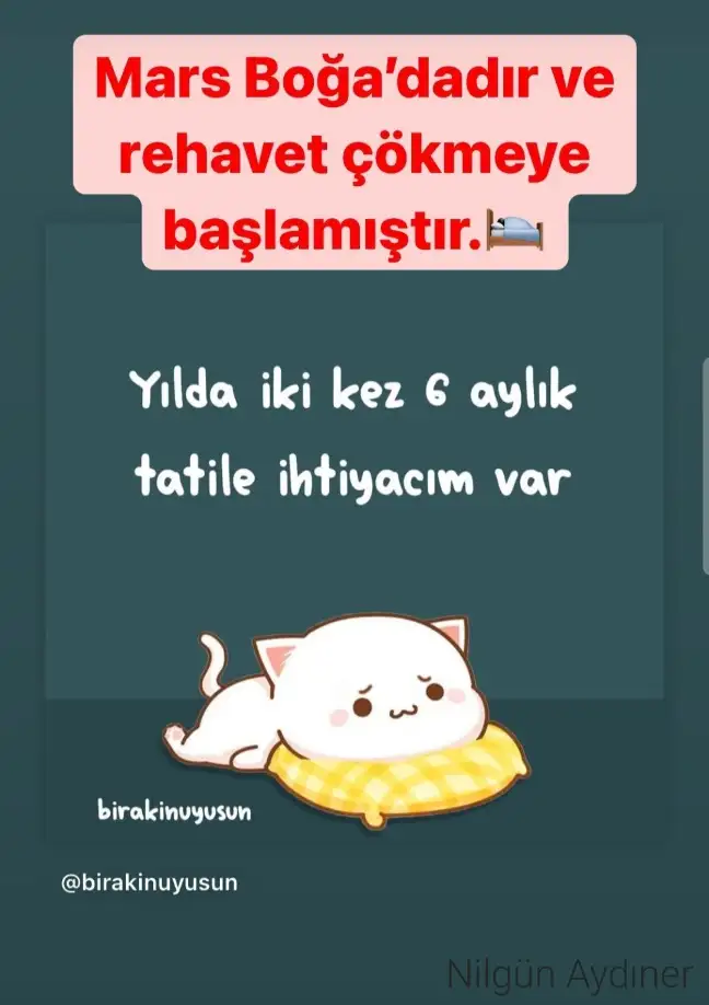 Screenshot_20220706-121100_Instagram.webp