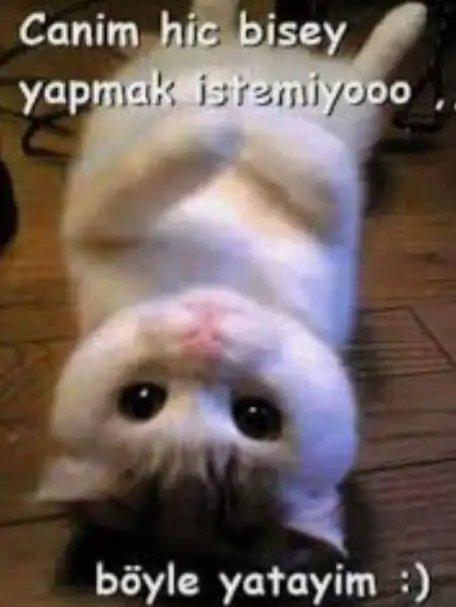 Screenshot_20220725-091647_Chrome.jpg