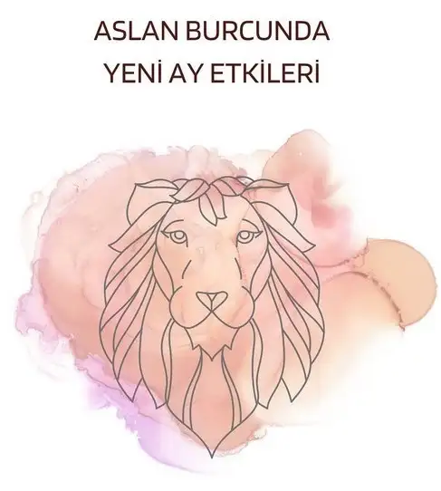Screenshot_20220726-194039_Instagram - Kopya.webp