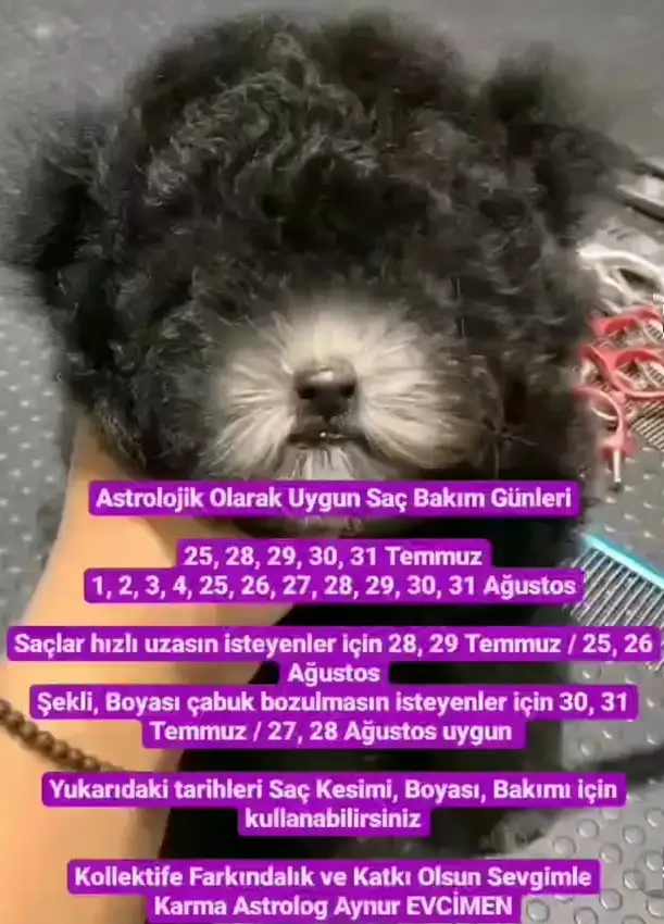 Screenshot_20220726-202818_Instagram.webp