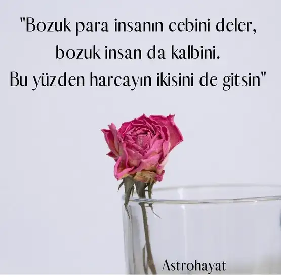 Screenshot_20220727-142731_Instagram.webp