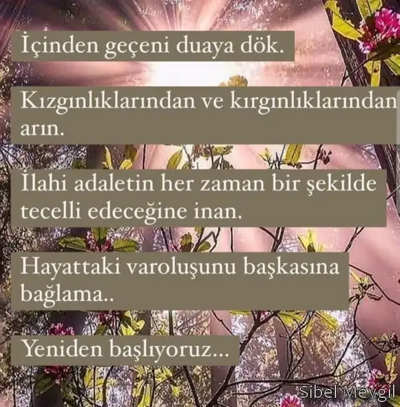 Screenshot_20220728-095041_Instagram.webp