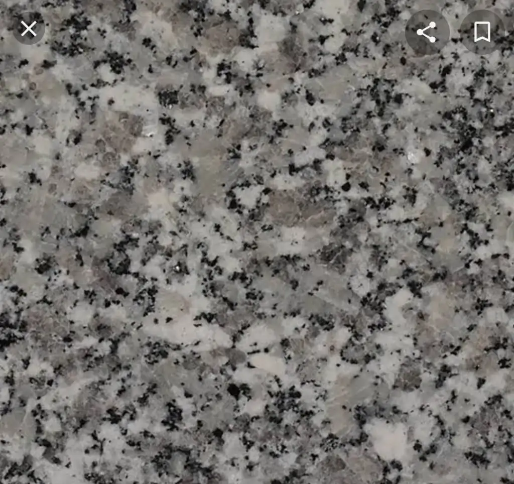 Screenshot_20220803-070415_Google.webp