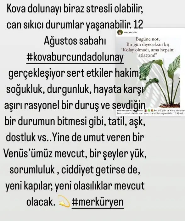 Screenshot_20220809-093218_Instagram.webp