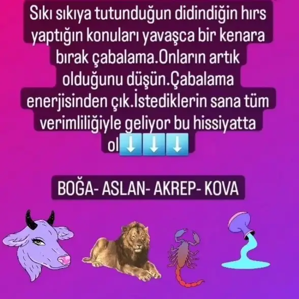 Screenshot_20220811-193734_Instagram.webp