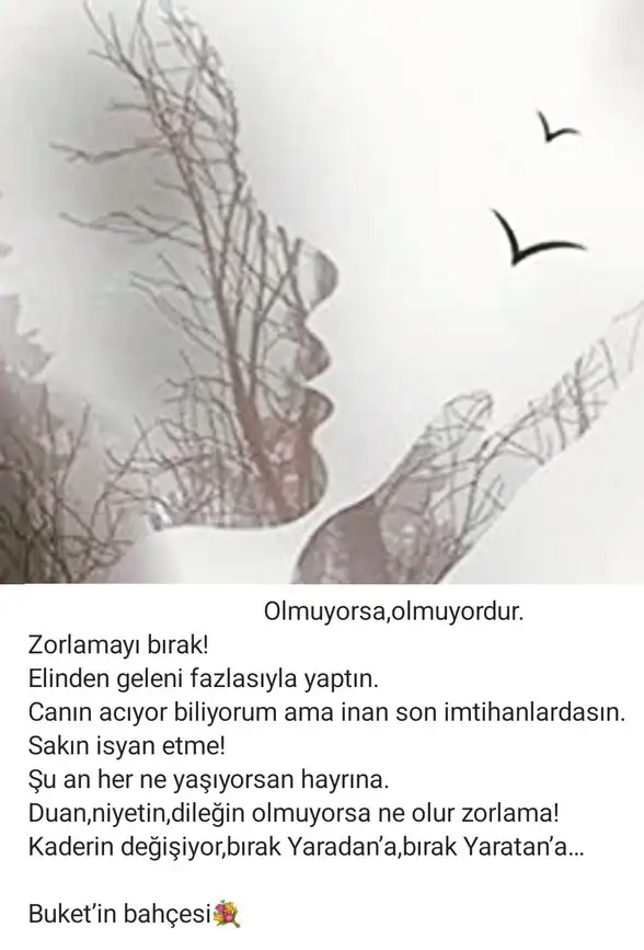Screenshot_20220811-204117_Instagram.webp