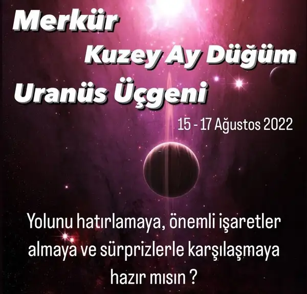 Screenshot_20220815-101116_Instagram.webp