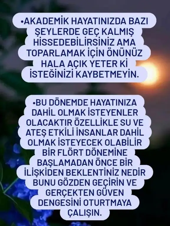 Screenshot_20220825-110333_Instagram.webp