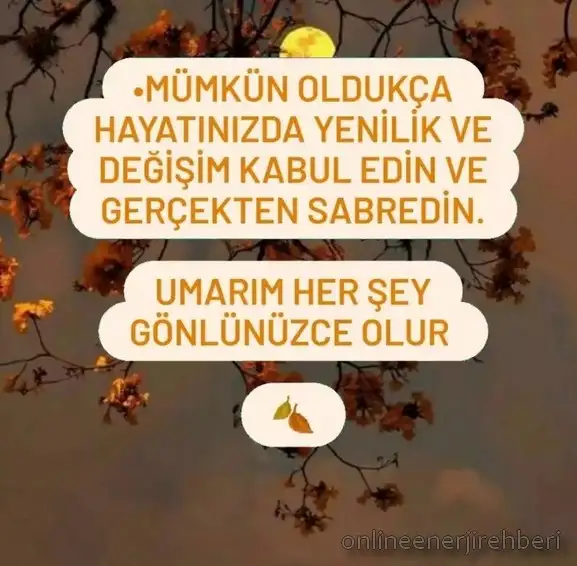 Screenshot_20220825-110337_Instagram.webp