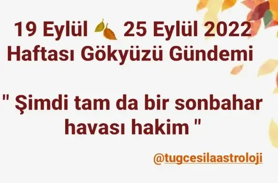 Screenshot_20220919-213801_Instagram.webp