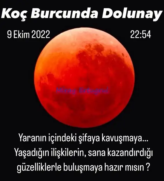 Screenshot_20221007-150111_Instagram.webp
