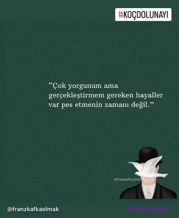Screenshot_20221009-154108_Instagram.webp
