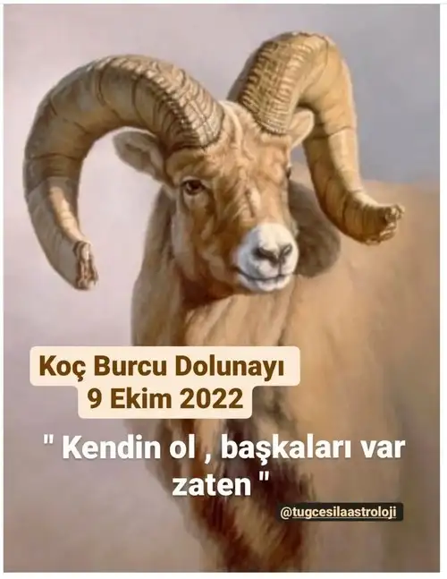 Screenshot_20221009-192718_Instagram.webp
