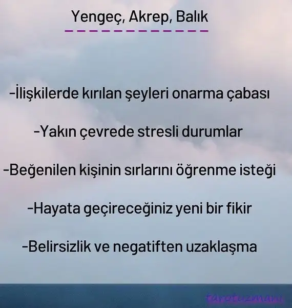 Screenshot_20221011-131300_Instagram.webp