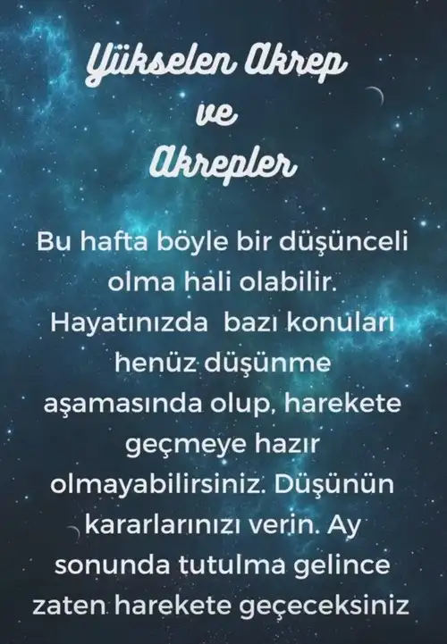 Screenshot_20221011-131534_Instagram.webp