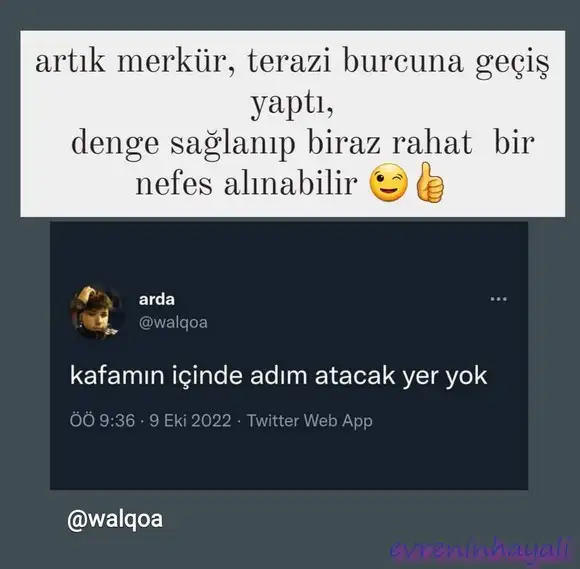 Screenshot_20221011-230821_Instagram.webp
