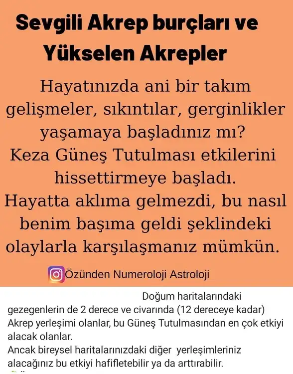 Screenshot_20221019-093455_Instagram.webp