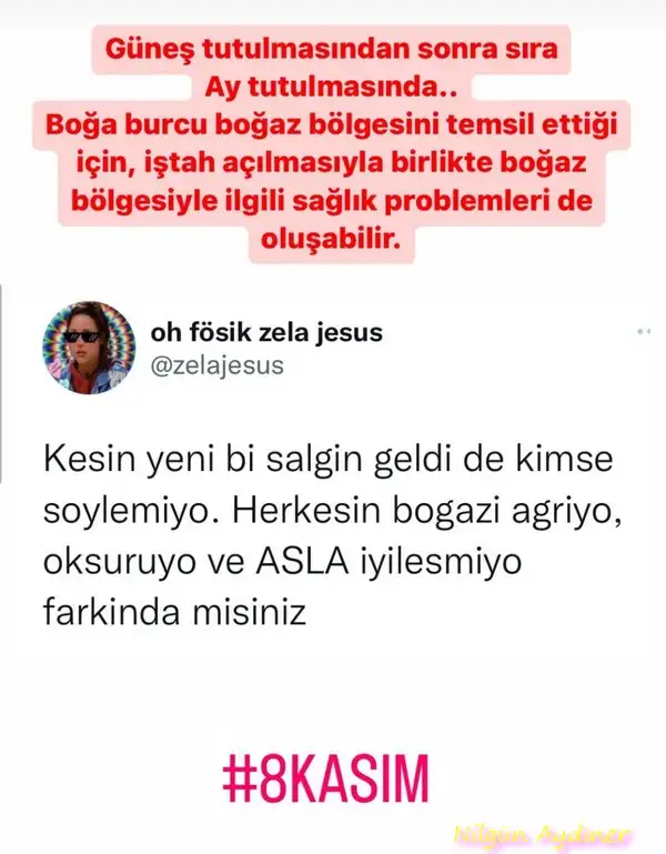 Screenshot_20221026-163018_Instagram.webp