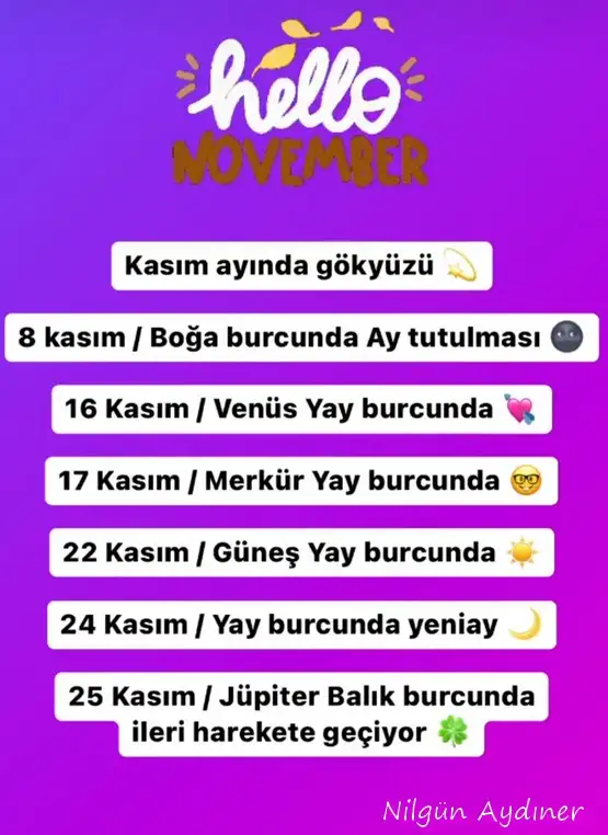 Screenshot_20221031-122251_Instagram.webp