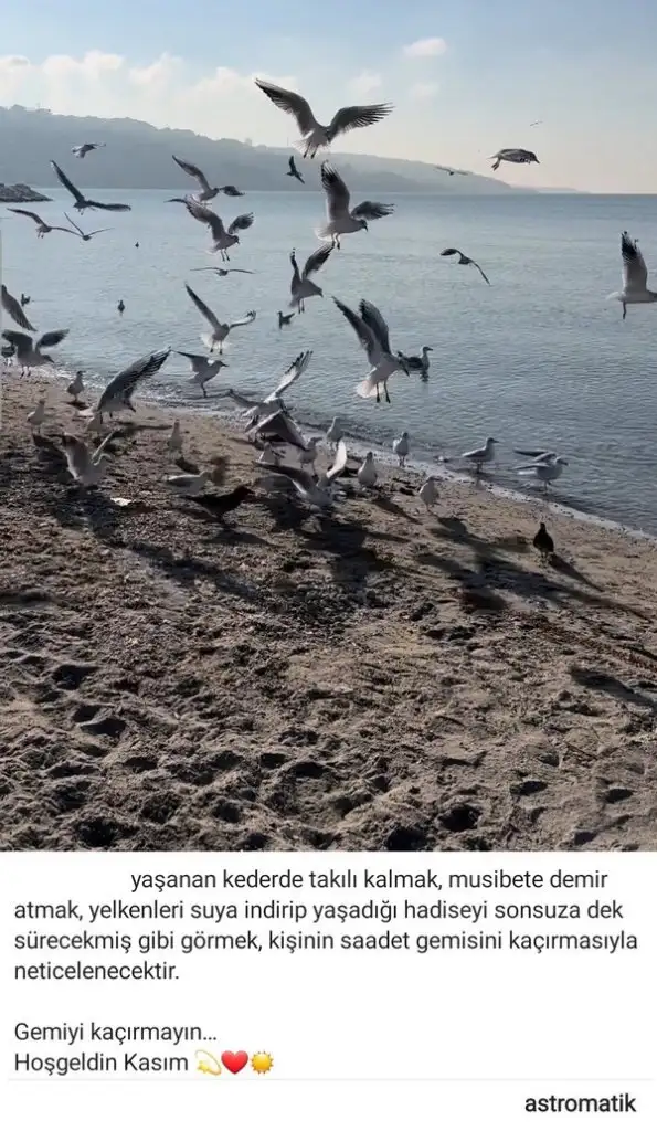 Screenshot_20221101-121812_Instagram.webp