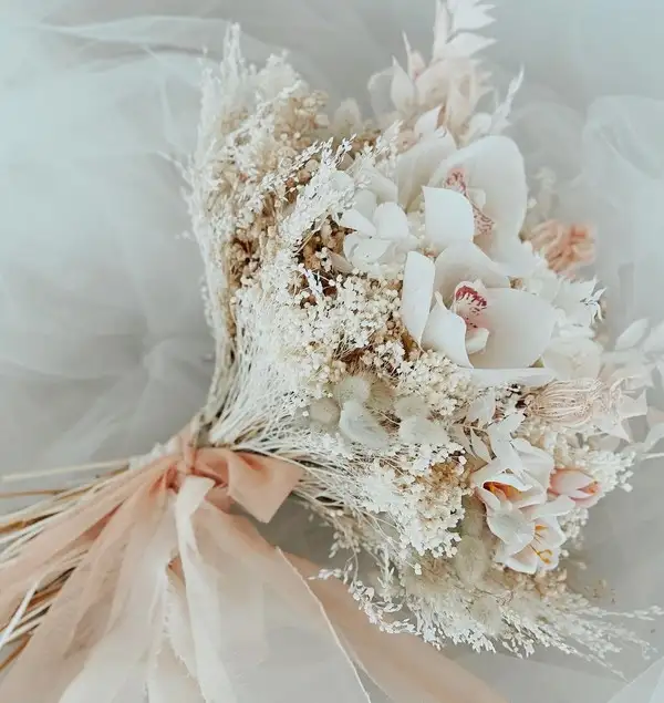 Screenshot_20221105-124620_Instagram.webp