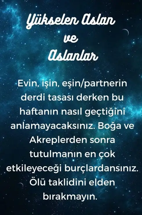 Screenshot_20221107-233217_Instagram.webp