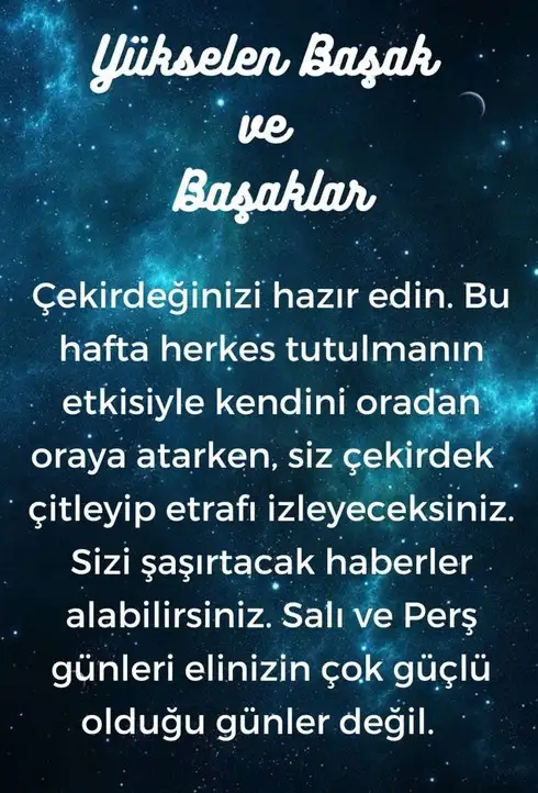 Screenshot_20221107-233226_Instagram.webp