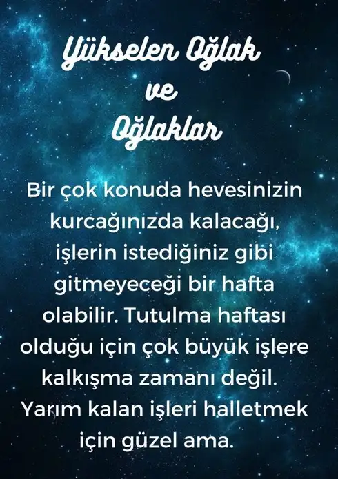 Screenshot_20221107-233245_Instagram.webp