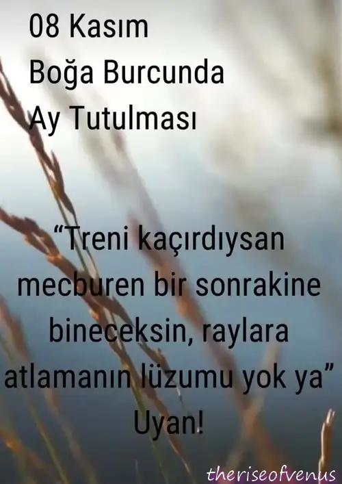 Screenshot_20221107-234825_Instagram.webp