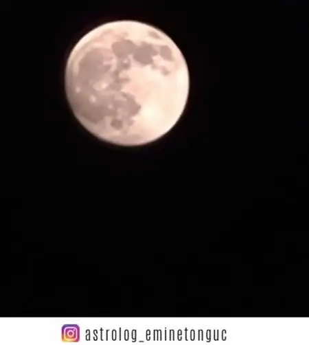 Screenshot_20221108-185319_Instagram.webp