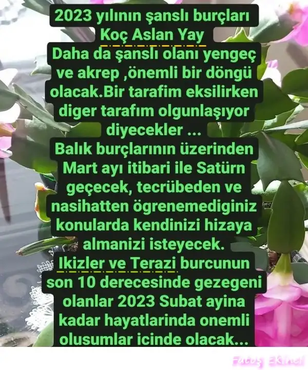 Screenshot_20221128-230132_Instagram.webp