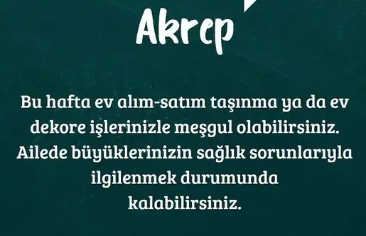 Screenshot_20221129-105411_Instagram.webp