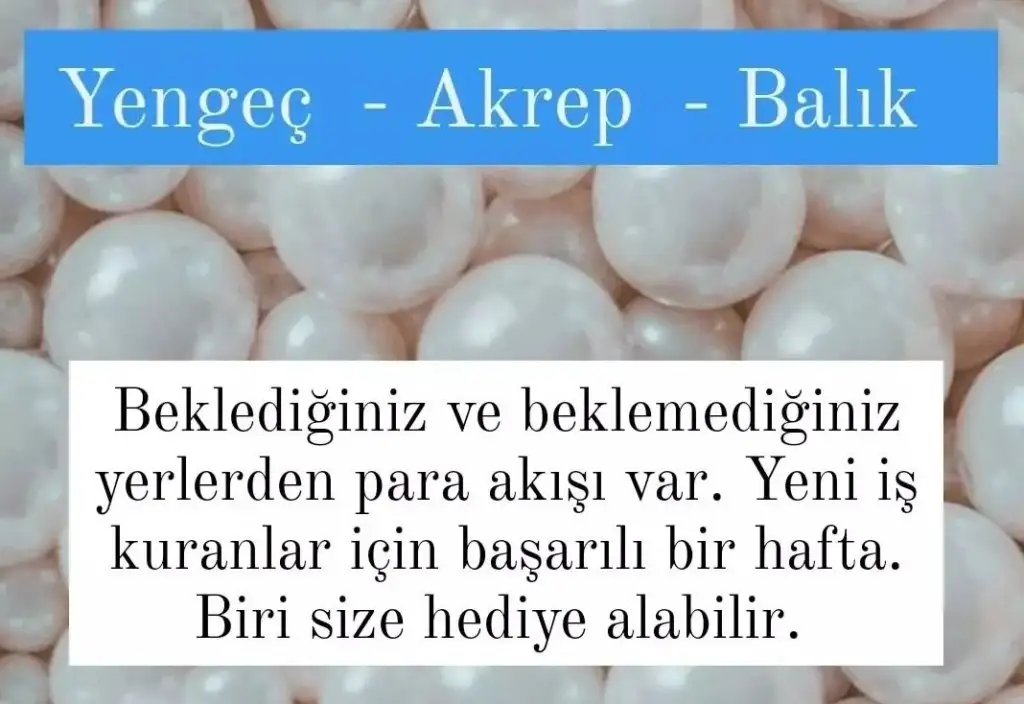 Screenshot_20221206-154257_Instagram.webp