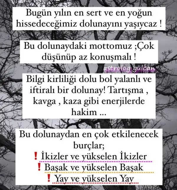 Screenshot_20221208-124213_Instagram.webp