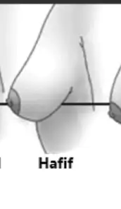 Screenshot_20221209-042515_Free Adblocker Browser.webp