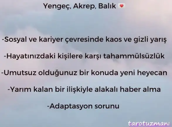Screenshot_20221211-184804_Instagram.webp
