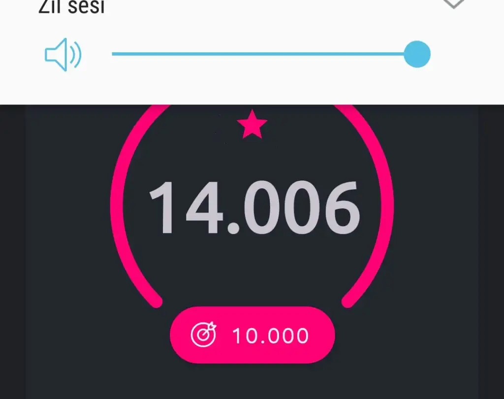 Screenshot_20221214-183830_Pedometer.webp