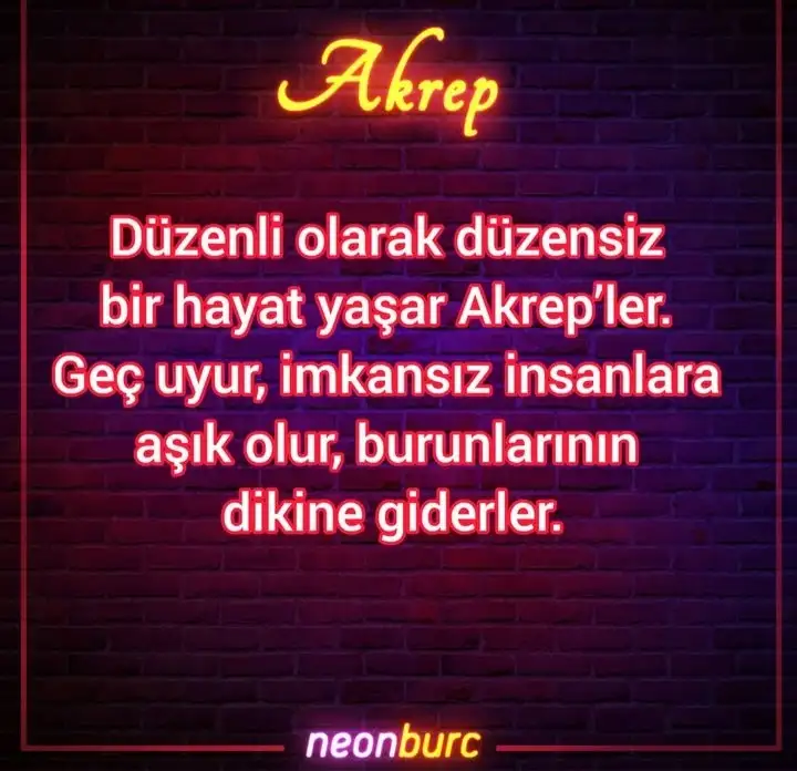 Screenshot_20221214-220349_Instagram.webp