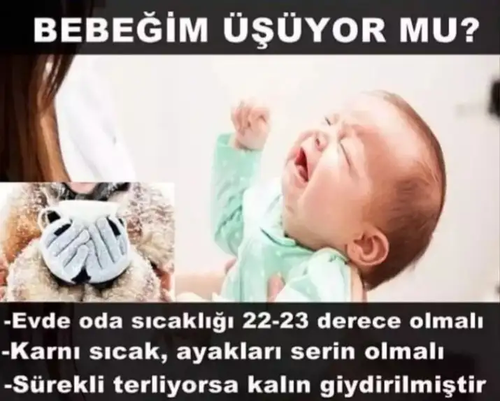 Screenshot_20221226-130038_Instagram.webp