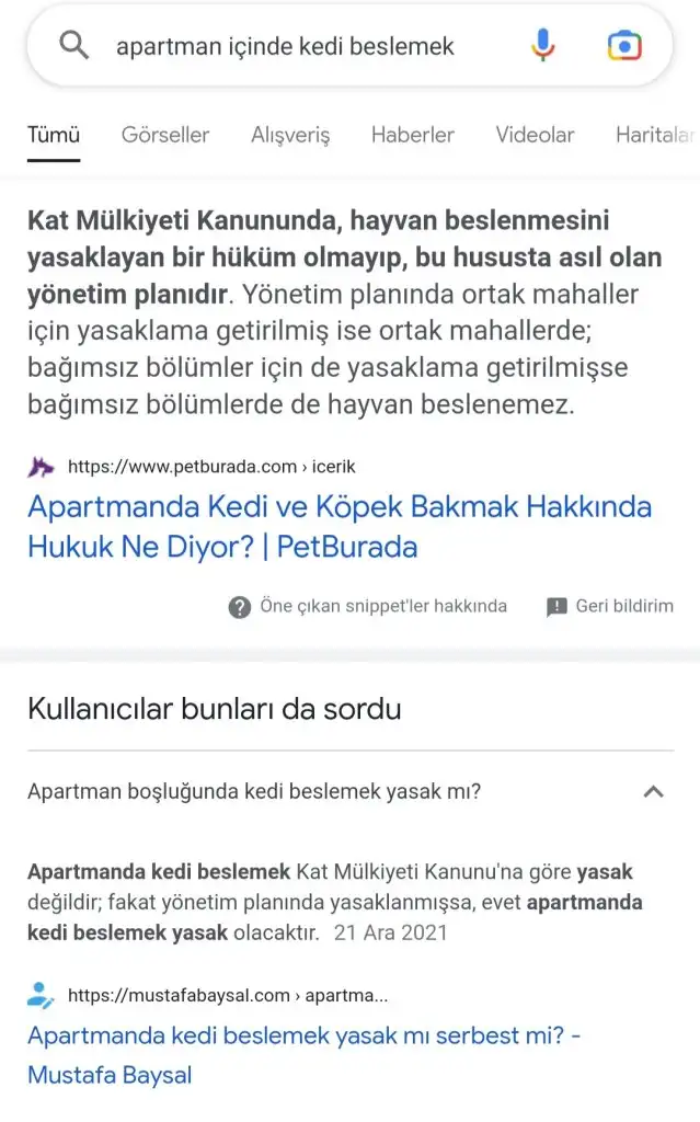 Screenshot_20221229-225853_Google.webp