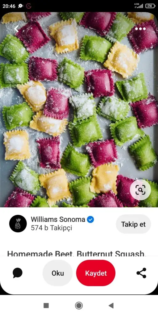 Screenshot_2023-01-07-20-46-47-102_com.pinterest.webp
