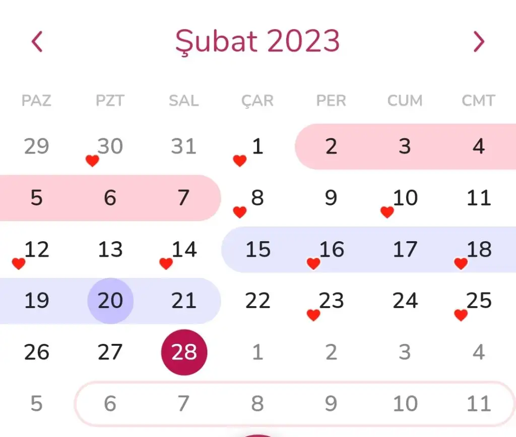 Screenshot_2023-02-28-12-09-06-845-edit_com.lbrc.PeriodCalendar.webp