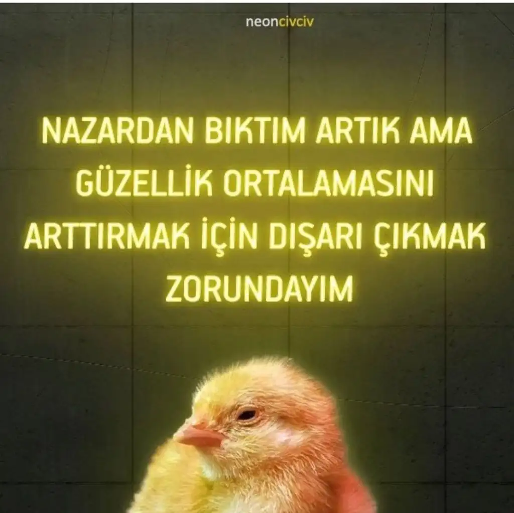 Screenshot_2023-12-02-12-22-22-81_1c337646f29875672b5a61192b9010f9.webp