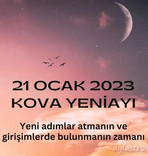 Screenshot_20230120-134353_Instagram.webp